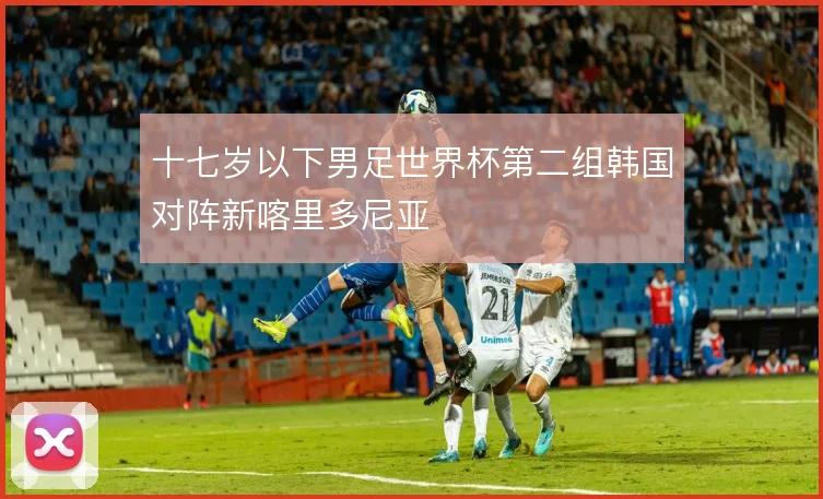 十七岁以下男足世界杯第二组韩国对阵新喀里多尼亚