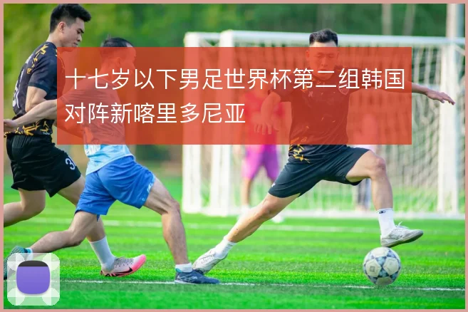 十七岁以下男足世界杯第二组韩国对阵新喀里多尼亚