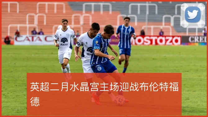 英超二月水晶宫主场迎战布伦特福德