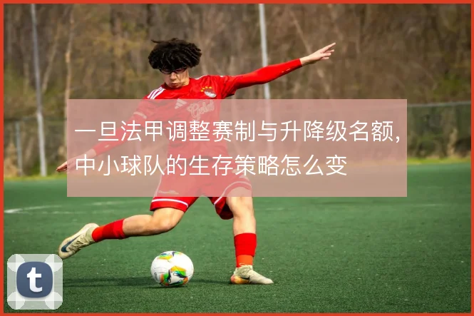 一旦法甲调整赛制与升降级名额，中小球队的生存策略怎么变