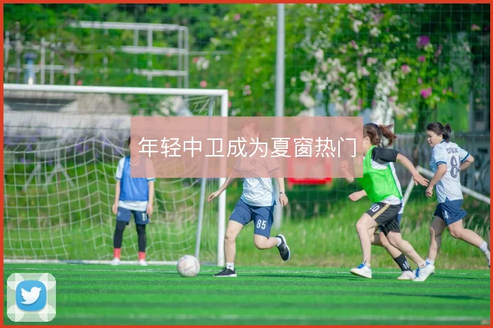 年轻中卫成为夏窗热门