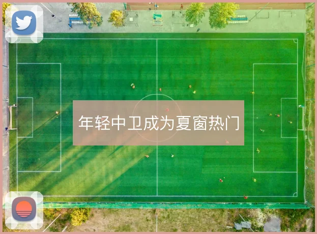 年轻中卫成为夏窗热门